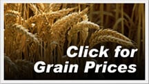 Borchers Equipment Grain Prices Borchers Equipment Grain Prices